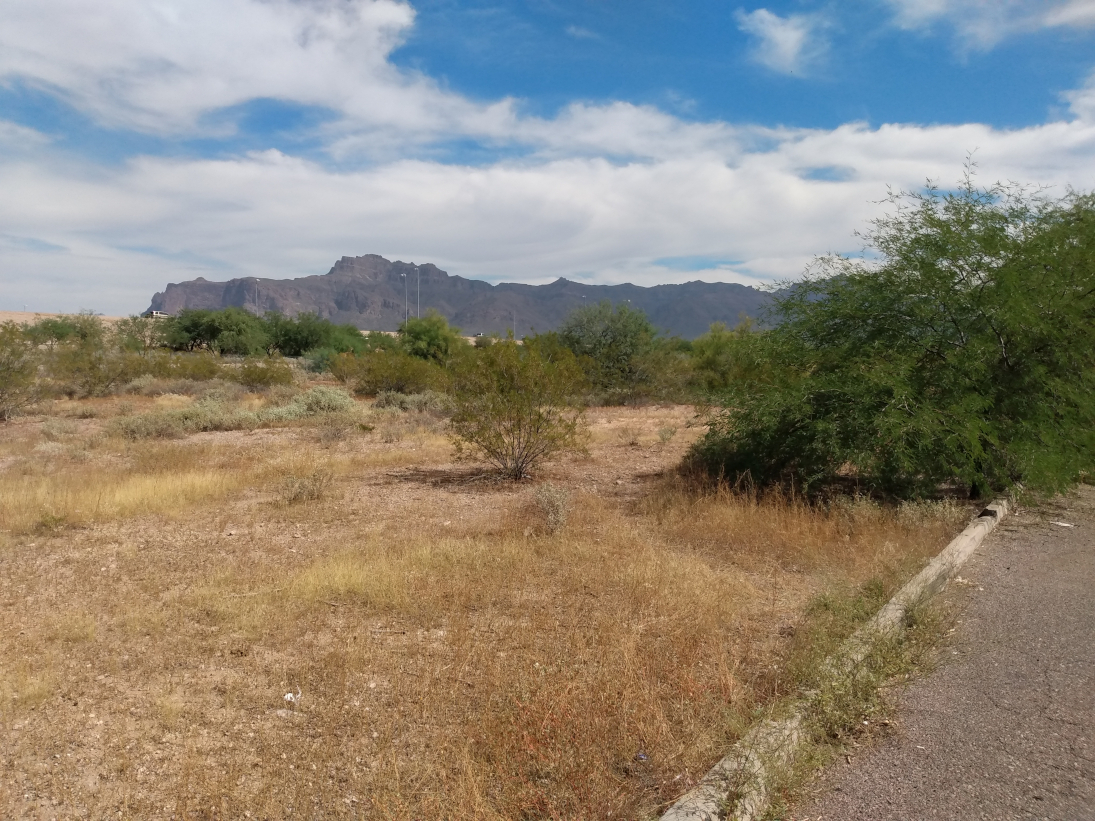 Apache Junction, Arizona